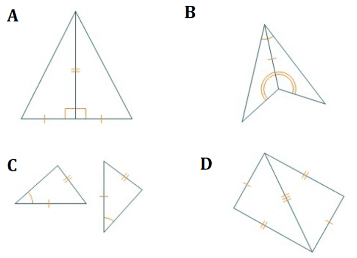 Which Pair Of Triangles Can Be Proven Congruent By Sas? Which Pair Of Triangles Can Be Proven Congruent By Sas