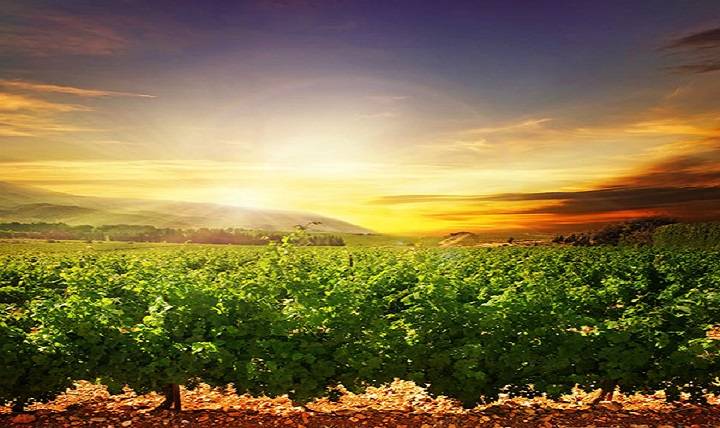 Wrenn-yeatts Funeral Home – Danville, Va Obituaries Wrenn yeatts Funeral Home Danville Va Obituaries