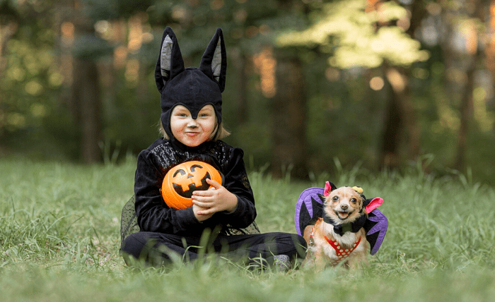 Halloween Costumes for Pets: Dressing Up Your Furry Friends Screenshot 4